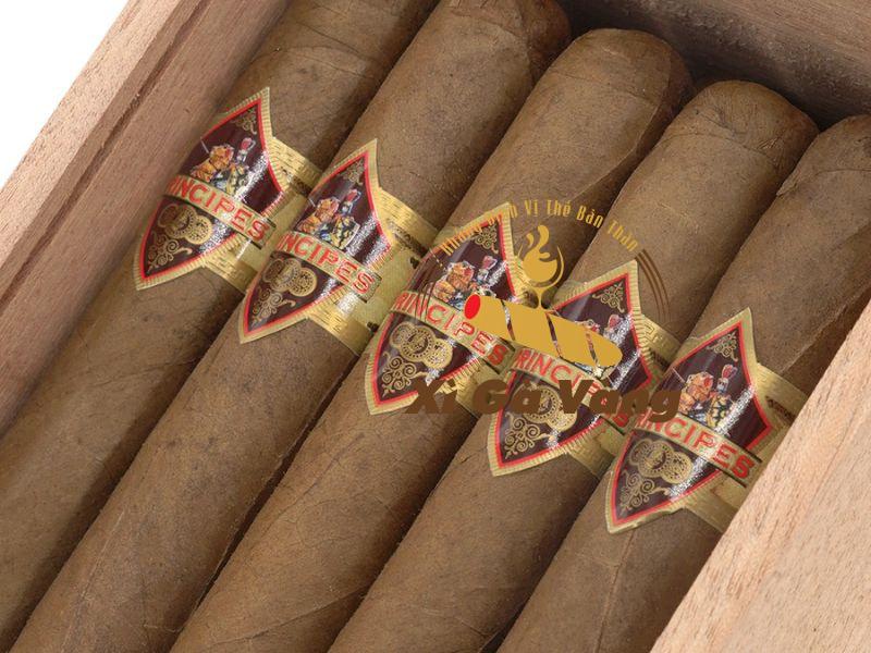 Principes Robusto có hình thức bắt mắt, thú vị